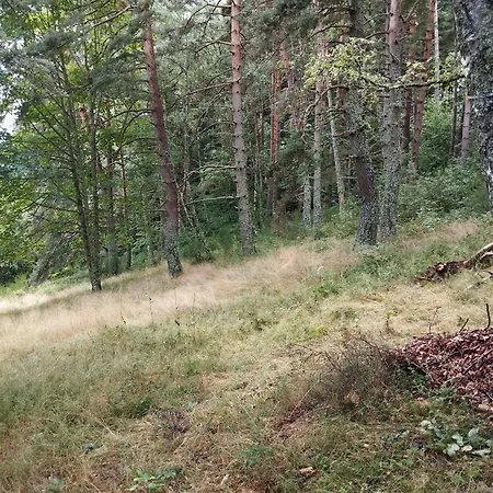 Campo de lujo La Ramie Marat